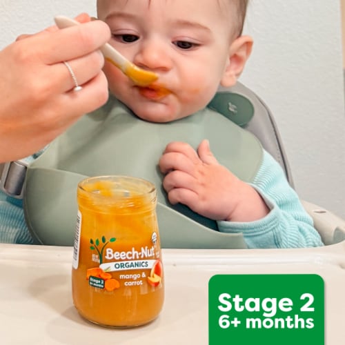 Beech-Nut Organics Apple Pumpkin & Granola Baby Food Jar - Apple Pumpkin & Granola
