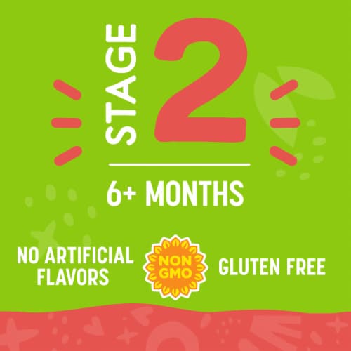 Comforts Stage 2 Apple Mango Spinach Baby Food Puree Pouch - Apple Mango Spinach