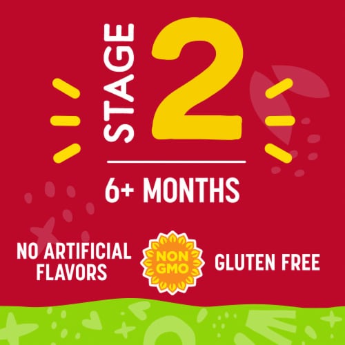 Comforts Stage 2 Cinnamon Apple and Oatmeal Baby Food Puree Pouch - Cinnamon Apple and Oatmeal