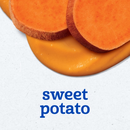 Gerber 1st Foods Baby Food Sweet Potato Puree Clean Label Project Tubs - Sweet Potato