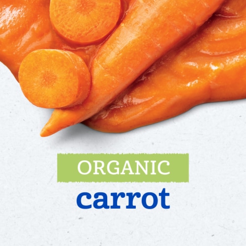 Gerber Organic 1st Foods Baby Food Carrot Baby Food Jar - Carrot