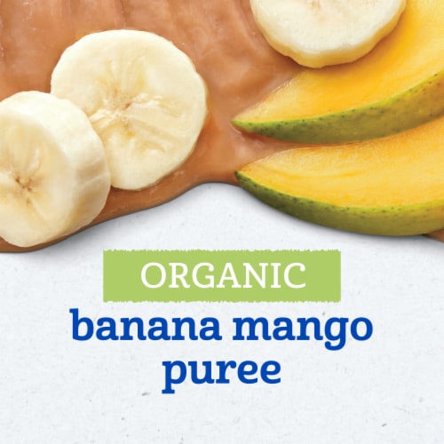 Gerber Organic 2nd Foods Baby Food Banana Mango Baby Food Tub - Banana Mango