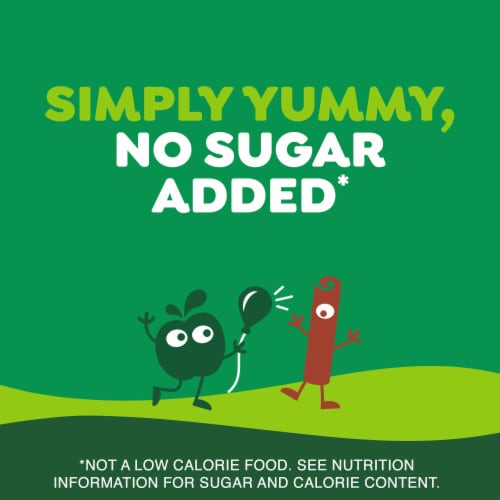 GoGo squeeZ No Sugar Added Apple Cinnamon Applesauce & Fruit Puree Pouches - GoGo squeeZ No Sugar Added Apple Cinnamon Applesauce & Fruit Puree Pouches