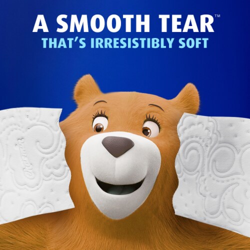 Charmin Ultra Soft Toilet Paper 6 Mega XL Rolls - 6 rolls