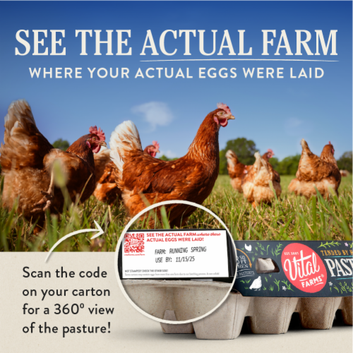 Vital Farms Pasture-Raised Large Brown Grade-A Organic Eggs - 12 ct / Pasture Raised