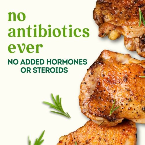 Simple Truth® Naturalˆ Boneless & Skinless Fresh Chicken Thighs - Simple Truth® Naturalˆ Boneless & Skinless Fresh Chicken Thighs, back
