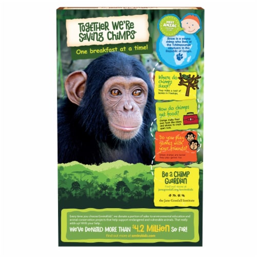 Nature's Path EnviroKidz Koala Crisp Organic Cereal - Choco Chimps