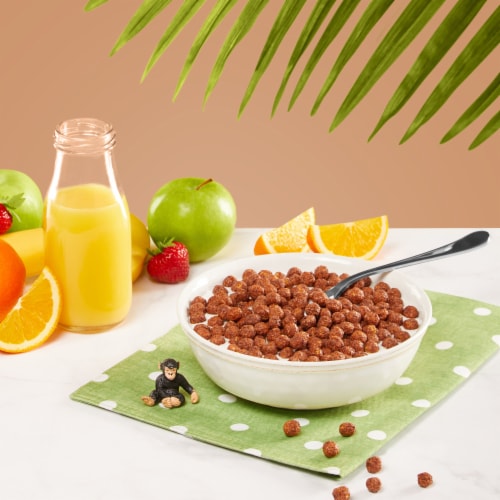 Nature's Path EnviroKidz Koala Crisp Organic Cereal - Choco Chimps
