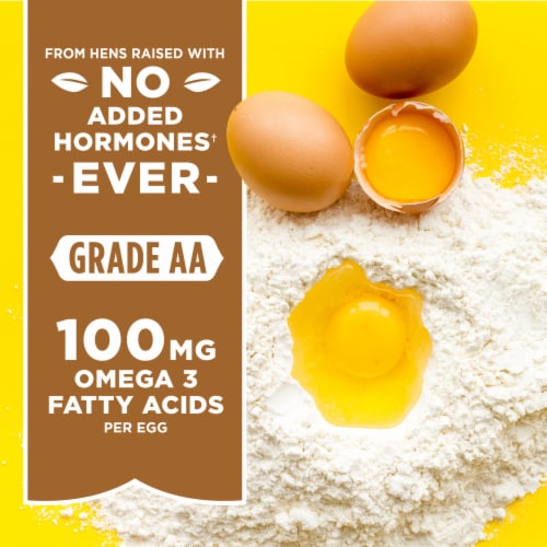 Simple Truth™ Natural Cage Free Large Brown Eggs - Simple Truth™ Natural Cage Free Large Brown Eggs
