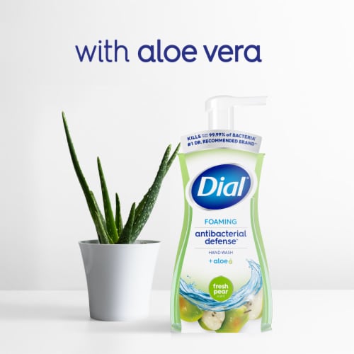 Dial® Antibacterial Defense™ Fresh Pear Scent Foaming Hand Soap - Dial® Antibacterial Defense™ Fresh Pear Scent Foaming Hand Soap