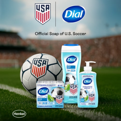 Dial® Antibacterial Defense™ Power Berries Scent Foaming Hand Soap - Dial® Antibacterial Defense™ Power Berries Scent Foaming Hand Soap