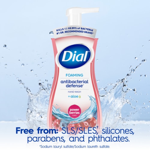 Dial® Antibacterial Defense™ Power Berries Scent Foaming Hand Soap - Dial® Antibacterial Defense™ Power Berries Scent Foaming Hand Soap