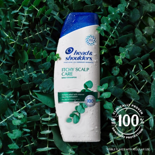 Head & Shoulders Itchy Scalp Care Anti-Dandruff Shampoo - Head & Shoulders Itchy Scalp Care Anti-Dandruff Shampoo