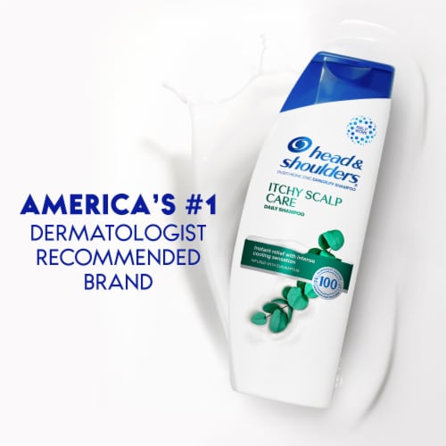 Head & Shoulders Itchy Scalp Care Anti-Dandruff Shampoo - Head & Shoulders Itchy Scalp Care Anti-Dandruff Shampoo