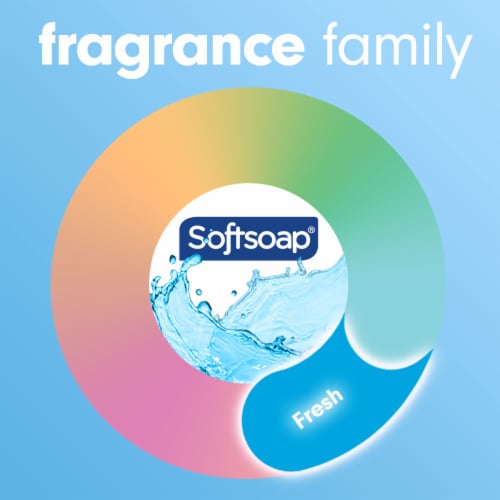 Softsoap Liquid Hand Soap Kitchen and Bathroom Hand Soap Fresh Breeze Scent - Softsoap Liquid Hand Soap Kitchen and Bathroom Hand Soap Fresh Breeze Scent