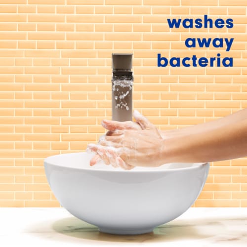 Softsoap Liquid Hand Soap Pump Antibacterial Crisp Clean Scent - Softsoap Liquid Hand Soap Pump Antibacterial Crisp Clean Scent