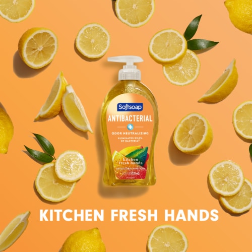 Softsoap Liquid Hand Soap Pump Antibacterial Liquid Kitchen Fresh Hands Crisp Lemon Scent - Softsoap Liquid Hand Soap Pump Antibacterial Liquid Kitchen Fresh Hands Crisp Lemon Scent