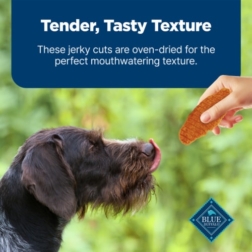 Blue Buffalo Nudges Jerky Cuts Natural Chicken and Duck Dog Treats - Blue Buffalo Nudges Jerky Cuts Natural Chicken and Duck Dog Treats