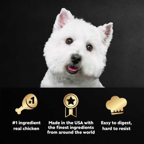 Cesar Adult Wet Dog Food Rotisserie Chicken with Bacon & Cheese Loaf & Topper in Sauce - Cesar Adult Wet Dog Food Rotisserie Chicken with Bacon & Cheese Loaf & Topper in Sauce