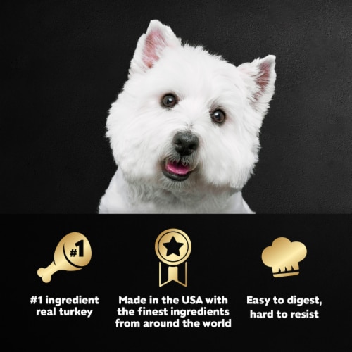 Cesar Adult Wet Dog Food Turkey Classic Loaf in Sauce - Cesar Adult Wet Dog Food Turkey Classic Loaf in Sauce