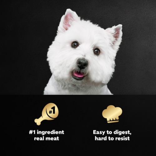 Cesar Classic Adult Soft Wet Dog Food Filet Mignon Loaf in Sauce - Cesar Classic Adult Soft Wet Dog Food Filet Mignon Loaf in Sauce