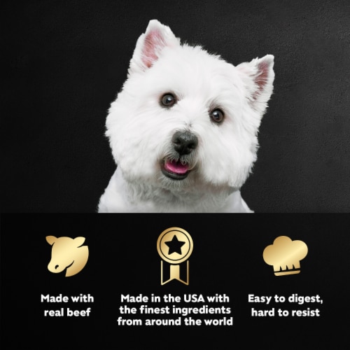 Cesar Filets in Gravy Adult Soft Wet Dog Food Prime Rib - Cesar Filets in Gravy Adult Soft Wet Dog Food Prime Rib