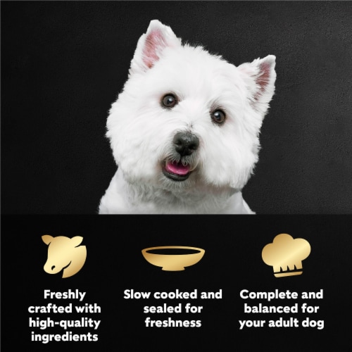Cesar Filets in Gravy Wet Dog Food Mini-Pouch Filet Mignon - Cesar Filets in Gravy Wet Dog Food Mini-Pouch Filet Mignon