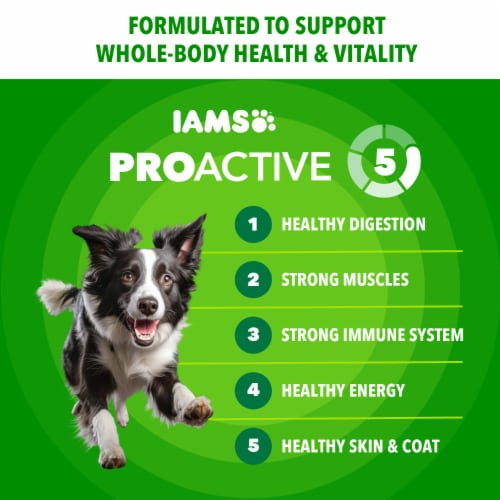 Iams Proactive Health Minichunks Adult Small Kibble Dry Dog Food Real Chicken Flavor - Iams Proactive Health Minichunks Adult Small Kibble Dry Dog Food Real Chicken Flavor