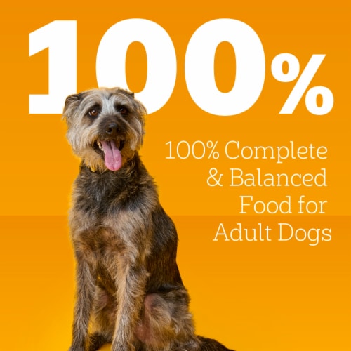 Pedigree Chopped Ground Dinner Adult Canned Soft Wet Dog Food Chicken - Pedigree Chopped Ground Dinner Adult Canned Soft Wet Dog Food Chicken