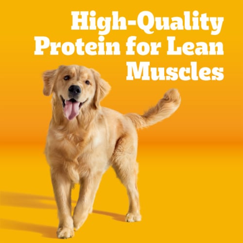 Pedigree Complete Nutrition Adult Dry Dog Food Roasted Chicken & Vegetable Flavor - Pedigree Complete Nutrition Adult Dry Dog Food Roasted Chicken & Vegetable Flavor