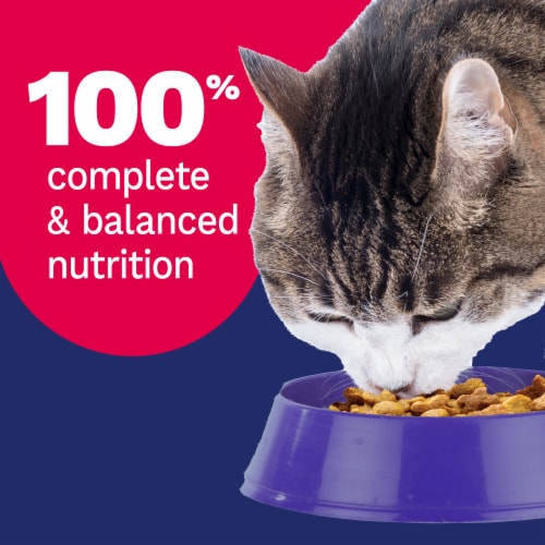 Pet Pride® Complete Nutrition All Life Stages Dry Cat Food Seafood Variety Mix - 3.15 pounds