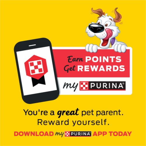 Purina Beggin' Strips Dog Treats with Bacon & Beef Flavors - Purina Beggin' Strips Dog Treats with Bacon & Beef Flavors