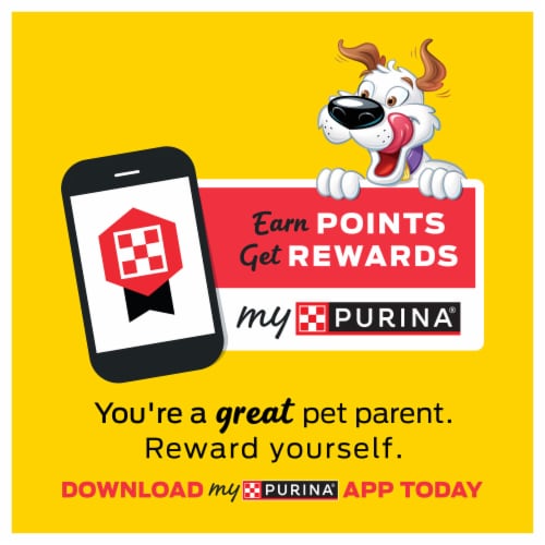 Purina Beggin' Strips Fun Size Original Dog Treats with Bacon Flavor - Purina Beggin' Strips Fun Size Original Dog Treats with Bacon Flavor