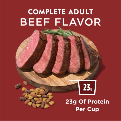 Purina Dog Chow Complete Adult Dry Dog Food Beef - Purina Dog Chow Complete Adult Dry Dog Food Beef