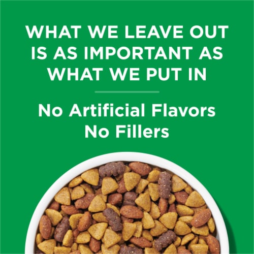 Purina Dog Chow Complete Adult Dry Dog Food Kibble With Chicken Flavor - Purina Dog Chow Complete Adult Dry Dog Food Kibble With Chicken Flavor
