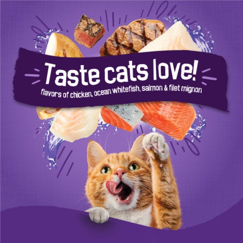 Purina Friskies Cat Food Surfin and Turfin Favorites Chicken, Whitefish, Salmon, and Filet Mignon - Purina Friskies Cat Food Surfin and Turfin Favorites Chicken, Whitefish, Salmon, and Filet Mignon