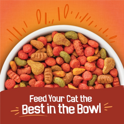 Purina Friskies Tender & Crunchy Combo Adult Dry Cat Food Chicken, Beef Flavors - Purina Friskies Tender & Crunchy Combo Adult Dry Cat Food Chicken, Beef Flavors
