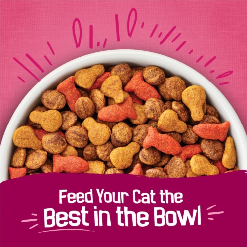 Purina Gravy Swirlers Adult Dry Cat Food Chicken, Salmon & Gravy Flavors - Purina Gravy Swirlers Adult Dry Cat Food Chicken, Salmon & Gravy Flavors