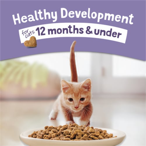 Purina Kitten Chow Healthy Development Dry Cat Food Real Chicken - Purina Kitten Chow Healthy Development Dry Cat Food Real Chicken