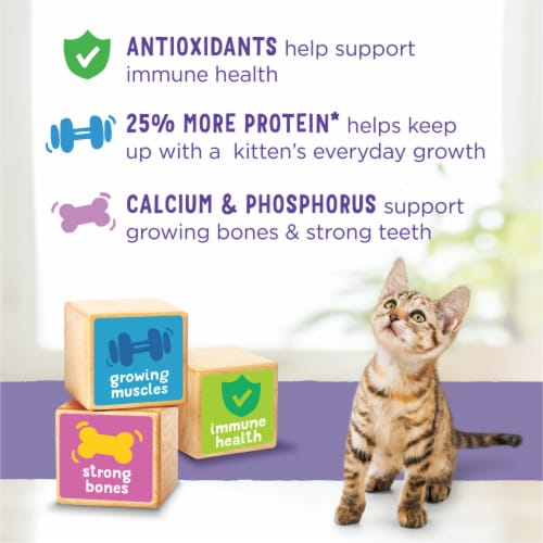 Purina Kitten Chow Healthy Development Dry Cat Food Real Chicken - Purina Kitten Chow Healthy Development Dry Cat Food Real Chicken