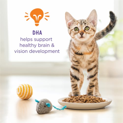 Purina Kitten Chow Healthy Development Dry Cat Food Real Chicken - Purina Kitten Chow Healthy Development Dry Cat Food Real Chicken
