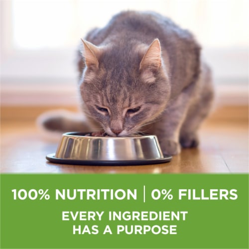 Purina ONE +Plus Indoor Advantage Weight Control Adult Dry Cat Food Real Turkey - Purina ONE +Plus Indoor Advantage Weight Control Adult Dry Cat Food Real Turkey