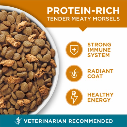 Purina ONE Tender Selects Adult Natural Dry Cat Food Real Chicken - Purina ONE Tender Selects Adult Natural Dry Cat Food Real Chicken
