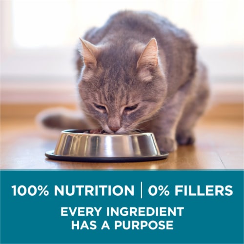 Purina ONE Tender Selects Adult Natural Dry Cat Food Real Chicken - Purina ONE Tender Selects Adult Natural Dry Cat Food Real Chicken
