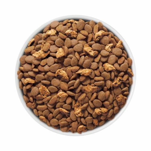 Purina ONE Tender Selects Adult Natural Dry Cat Food Real Salmon - Purina ONE Tender Selects Adult Natural Dry Cat Food Real Salmon