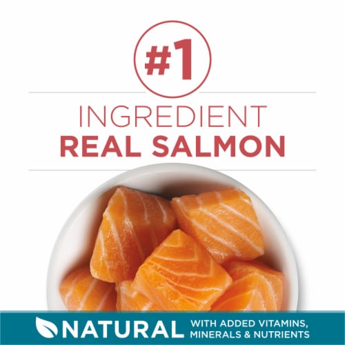Purina ONE Tender Selects Adult Natural Dry Cat Food Real Salmon - Purina ONE Tender Selects Adult Natural Dry Cat Food Real Salmon