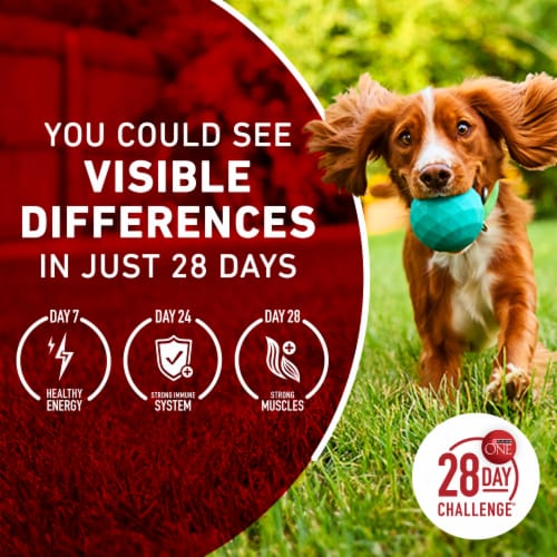 Purina ONE True Instinct Adult Dry Dog Food Turkey & Venison - Purina ONE True Instinct Adult Dry Dog Food Turkey & Venison