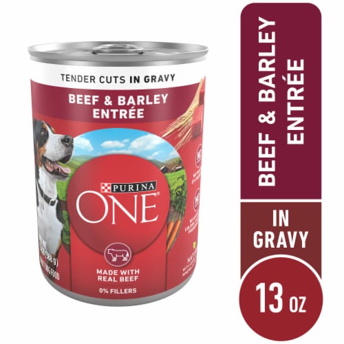 Purina ONE Wet Dog Food Tender Cuts in Gravy Beef & Barley - Purina ONE Wet Dog Food Tender Cuts in Gravy Beef & Barley